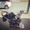 の写真