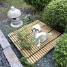 の写真