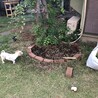 の写真