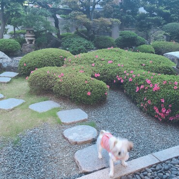 の写真