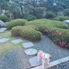 の写真