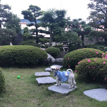 の写真
