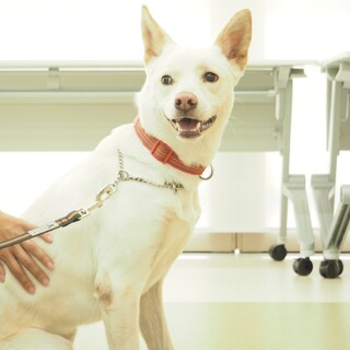 ◆ここから出して◆ビビちゃん