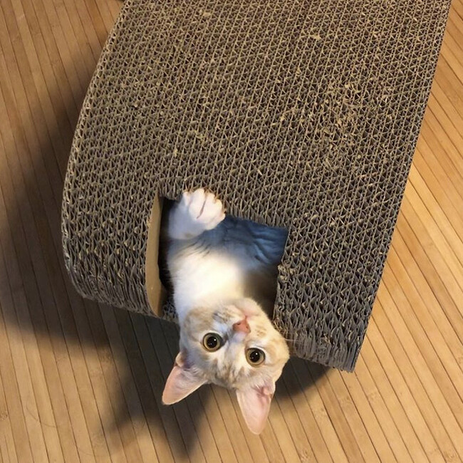 かあきんのカバー写真