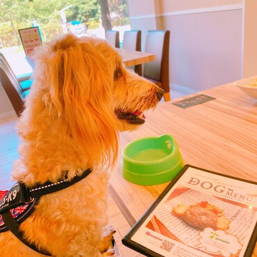 肉菜工房うしすけ