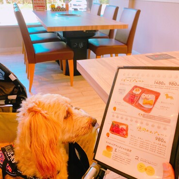 肉菜工房うしすけ