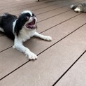 ☆家族がきまりました！☆