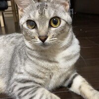 ルナ