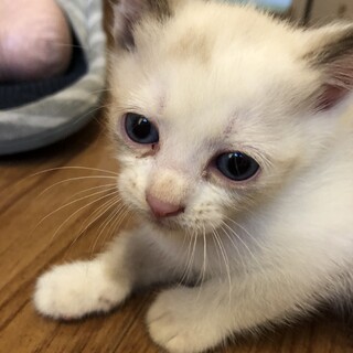 ありがとうございました！