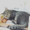 anlamu さん