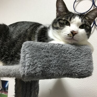 今日もかわいい