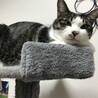 今日もかわいい