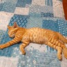 急募 サムネイル3