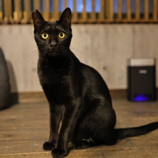 キリッとしていてかっこいい！こたろう君