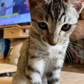 生涯大切にしてくださる方