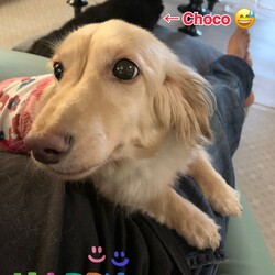 特等席の譲り合い