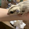多数ご応募頂いた為、一旦募集停止とさせて頂きます