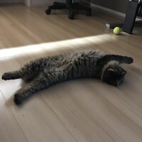 めい