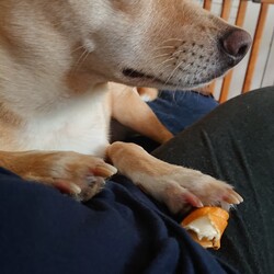 「追記☆あり！かかってこんか～い(｀Δ´)！！」サムネイル3