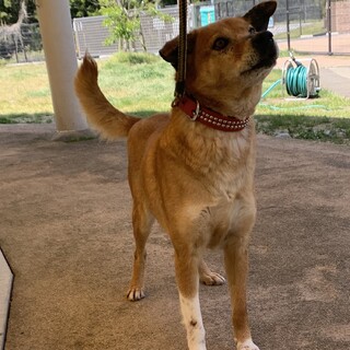 さーちゃんに愛の手を！待ってます！