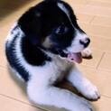 お問合せがあり一旦停止中です。
