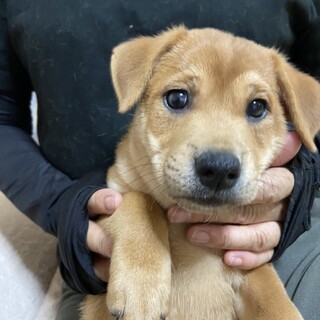水遊びが大好き、甘えん坊のろくちゃん里親様決定♪