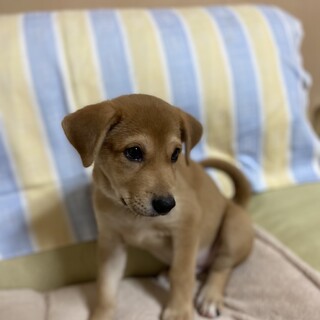 マイペースな穏やかごろうちゃん☘交渉中