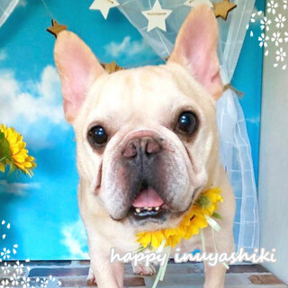 ちた）大好きアピール全開！♪