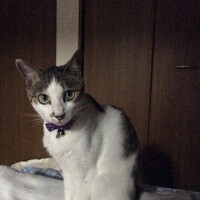ミー