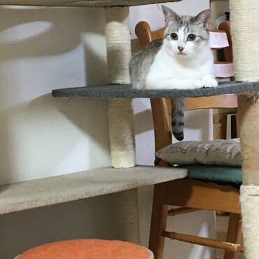の写真