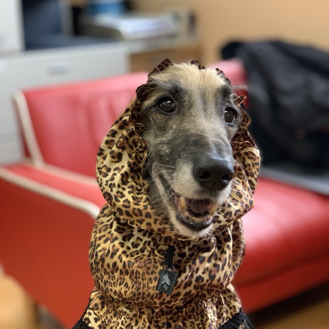 タケガワのカバー写真