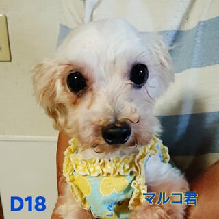 マルコ君幸せになりました＾＾