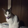  さん