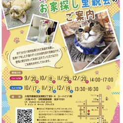 『保護猫のずっとのお家探し里親会』