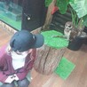 まーちゃん、
