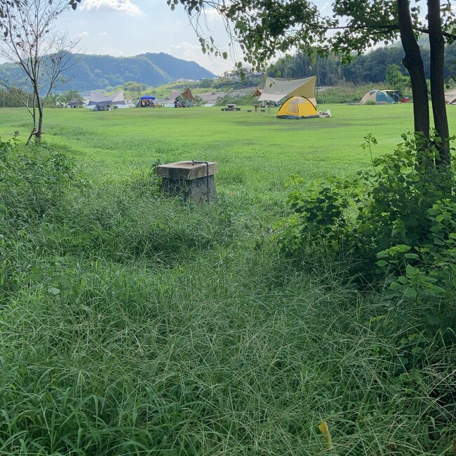 hitomi721のカバー写真
