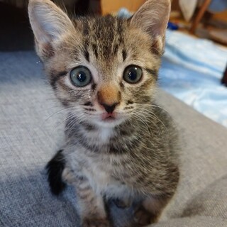 素敵なご縁に恵まれました！