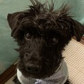 とても元気な男の子♪