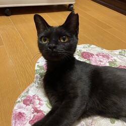 交通事故から完全復活した運の良い子