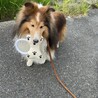 りひと