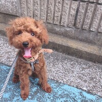 うずまる
