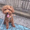うずまる