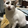 リサイクルおぼうさん
