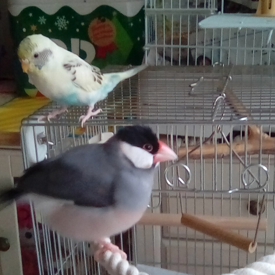 文のカバー写真