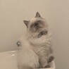 の写真