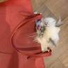 の写真