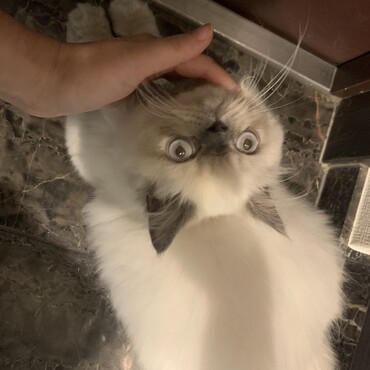 の写真