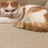 ヒロマル99