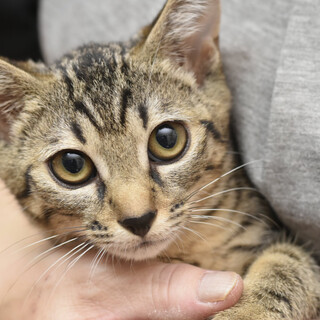  リチャード です！