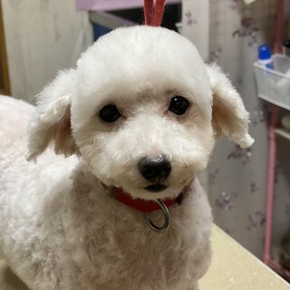 小さな3才の女の子。